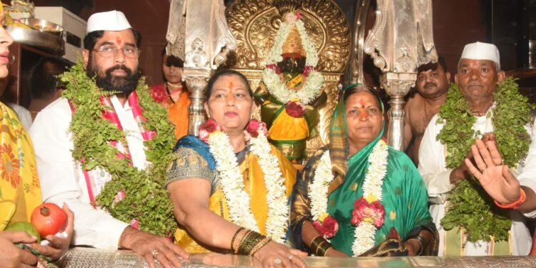 विठ्ठलाच्या शासकीय महापूजेचे शेतकरी कुटुंबातील मानकरी हे आहेत