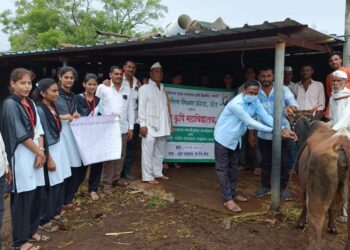 आहेर वडगांव गावात कृषिकन्यांनी राबवली पशु लसीकरण मोहीम